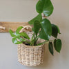 Round Hanging Basket  | Rattan