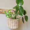 Round Hanging Basket  | Rattan