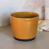 Yellow ceramic pot on a neutral background